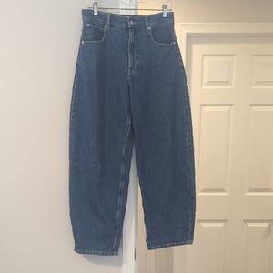 Everlane Way High Barrel Jean